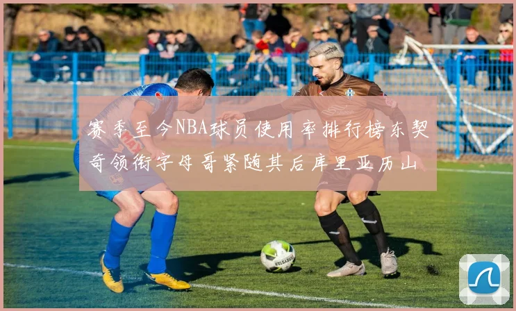 赛季至今NBA球员使用率排行榜东契奇领衔字母哥紧随其后库里亚历山大表现抢眼